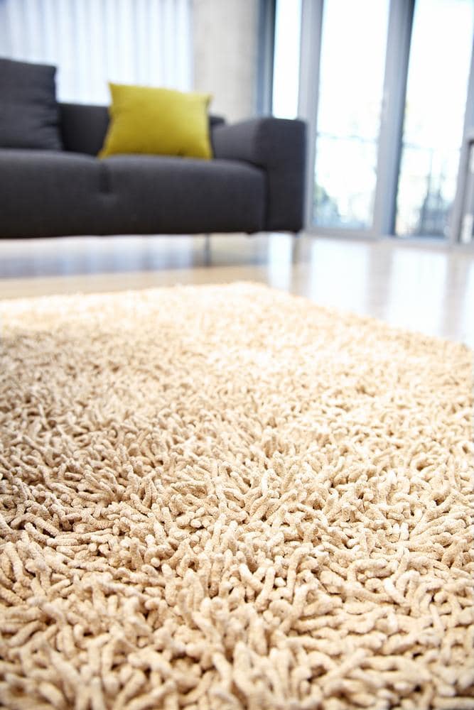 Anji Mountain Bamboo Shag Rugs Amb0654 Beige Area Rug - Image 2